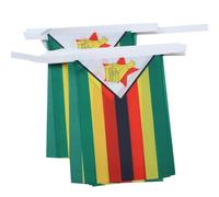 AZ FLAG Guirlande Zimbabwe 6 m 20 drapeaux Polyester Léger 21x15 cm