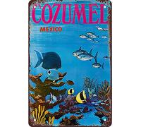 AZOLID Plaque en étain rétro Cozumel Mexique - Décoration murale rustique - 30 x 20 cm