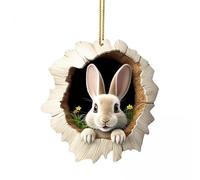 B Baosity Décoration de Pâques à Suspendre, Couronne de Pâques En Acrylique, Lot de 2, pour Pâques, et Les Fêtes, 2 pièces