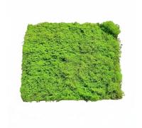 B Baosity Panneau de Verdure Décoratif Tapis de Lichen Artificiel Feuillage Synthétique Plaque de Mousse Imitation Crée Un Fond Vert Uniforme Ajoute Finition, 1m X 1m, Mousse À Fils Éternelle