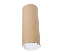 B Baosity Tube D'Expédition Papier Cylindrique avec Bouchons Pratiques Protection Documents Transport Facile Adapté pour Bureau École Domicile , Longueur de 30 cm