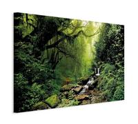 B&D XXL - Grand Tableau Mural Décoration Moderne Salon, Nature, 120x80 cm | Clous Inclus, Impression sur Toile, Tableaux, Posters et Arts Décoratifs, Gris, Arbres Forêt l'eau Cascade Vert