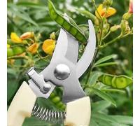 ¿B¿ Sécateur, outils à main, bonsaï pour le jardinage, sécateur en acier inoxydable, ciseaux pour fleurs, branches, herbe