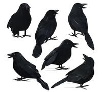 Baanfly Lot de 6 corbeaux artificiels pour Halloween, décorations effrayantes à plumes noires, oiseaux de corbeau réalistes pour Halloween, accessoire de fête d'intérieur, extérieur, décoration de