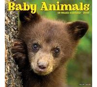 Baby Animals 2026 12 X 12 Wall Calendar - Willow Creek Press - Willow Creek Press Calendars - Livre en Anglais - Book Willow Creek PressWillow Creek Press (Auteur)