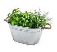 Bac à fleurs ovale en zinc avec poignées en cordon naturel - 43 x 30 cm - Petit pot de fleurs en métal argenté galvanisé - Décoration de jardin