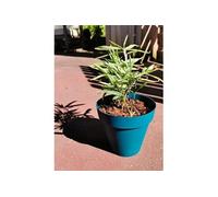 Bac a fleurs rond SOLEILLA - Plastique - Diametre 60 cm - Bleu