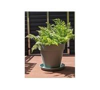 Bac a fleurs rond SOLEILLA - Plastique - Diametre 60 cm Vert argile