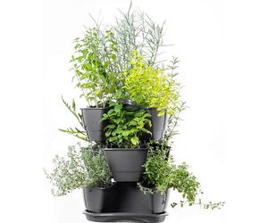 Bac à plantes en cascade - Jardinière à 3 niveaux - Triple bac à plantes - Design vertical