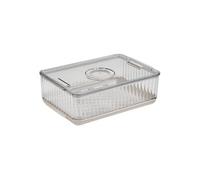 - Bac de Rangement Frigo Dateur "Streaks" 18x26cm Transparent