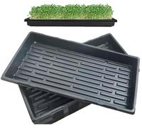 Bac de semis - Lot de 10 - 54 x 28 x 6 cm - Sans trous de drainage - PS - Réutilisable