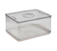 Bac Rangement Frigo Dateur ""Streaks"" 18x26cm Transparent