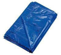 Bâche 90g/m_ 6x10m - Bleue - Écologique et Résistante - Protection Idéale contre les Intempéries - D-Work