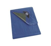 Bâche Bleu/Vert Standard 2X8 M