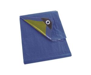 Bâche Bleu/Vert Standard 6x10 M