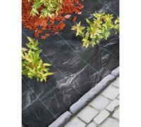Bâche de protection contre les mauvaises herbes Nature 2x10 m Noir