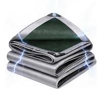 Bâche de Protection en Polyéthylène 200g/m² PE 2.2x10m l'extérieur Imperméable Ultra Lourde Toile de Résistante Revêtue des Deux côtés indéchirable, résistante aux UV, à la moisissure,argenté Vert