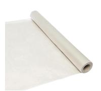 Bâche de protection peinture WERKA PRO 2 x 20m