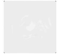 Bâche de protection pour plantes en PVC transparent 2 x 2 m avec œillets et bâche imperméable et indéchirable pour jardin, terrasse, parterre, parterre surélevée, disque d'arbre et protection contre