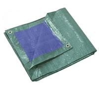 Bâche Lourde 6x10 m - 140 g/m_ - Résistante et Durable - Toutes Conditions - D-Work