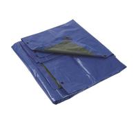 Bâche polyéthylène armée L 3 x l 2 m, vert/bleu