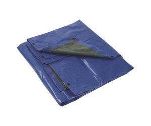 Bâche polyéthylène armée L 3 x l 2 m, vert/bleu