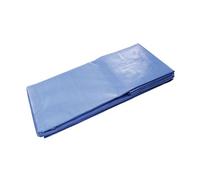 Dimos Bâche polyéthylène 408548 – 220 g/m² – 6 x 8 m