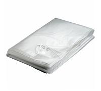 Werkapro Bâche transparente 160 g/m² anti-UV 4 x 6 m
