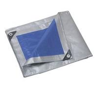Bâche ultra-lourde pro 250 gr/m2 2x3m PRB25002X03 Ribiland G
