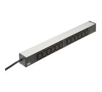 Bachmann LOCKABLE - Rallonge (rack montable) - 12 connecteurs de sortie - 1U - 48,3 cm (19") (333.616)