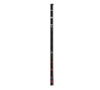 Bachmann BlueNet BN0500 - Unité de distribution d'alimentation - CA 400 V - Prises de sortie : 30 (6 x IEC 60320 C19, 24 x IEC 60320 C13) - 3 m (800.2400)