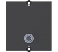 BACHMANN cadre 1x jack 3,5mm BAM-6