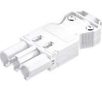 BACHMANN Connecteur à visser mâle GST18i3