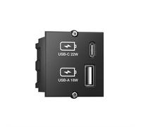 Bachmann Custom module - Modulares Faceplate-Snap-In - USB Type A, USB Typ C - Schwarz