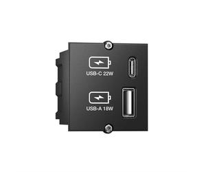 Bachmann Custom module - Modulares Faceplate-Snap-In - USB Type A, USB Typ C - Schwarz