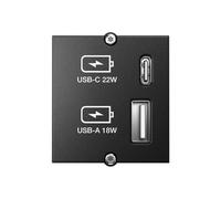 Bachmann Module personnalisé – Plaque modulaire enclenchable – USB Type A et USB Type C – Noir