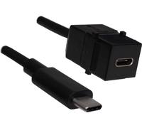 BACHMANN Prise femelle Keystone USB 3.1, type C PD 60W femelle/mâle, 0,5 m