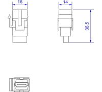 Bachmann Steckdosenleiste HDMI 2.0 Keystone 918.0411 (918.0411)