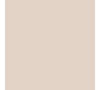 Badigeon à la chaux décoration intérieure extérieur maison BADIPLUS CALVI Beige rosé kit de 5 kg : jusqu'à 25 m²
