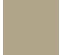 Badigeon à la chaux décoration intérieure extérieur maison BADIPLUS PALERME Beige kit de 20 kg : jusqu'à 100 m²