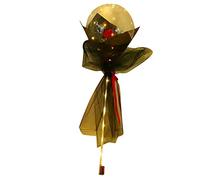 BAFOVY Bouquet de Roses Ballon Lumineux, Bouquet Lumineux en Plastique LED Transparent, Ensemble Complet avec Carton de Gaze, Décoration Lumineuse pour Cadeaux de Saint Valentin, Mariages, Fêtes