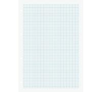 Baier schneider &ringbucheinlage classeur a4 quadrillé 70 g/m ², quadrillé, pour 4 prises-blanc - 100 feuilles