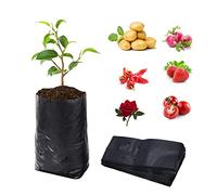 Bainuote Sac de Culture Spécial 100pcs Premium PE Biodégradable avec Trou Respiratoire pour Fruits, Herbes, Fleurs - 25x30cm (DxH)