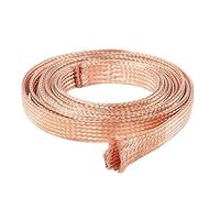 BAIWANLIN Nu Fil de terre tressé en cuivre Plat câble Blindage Maille Braid bande Sangle flexibilité paratonnerre Piquet de terre Longueur: 10m,2.5#:5x1.0mm