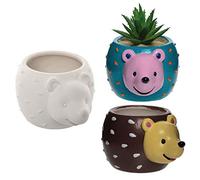 Baker Ross AX166 Pots De Fleurs en Céramique Hérisson - Boîte De 2, pour Que Les Enfants Peignent Et Cultivent Leurs Propres Plantes