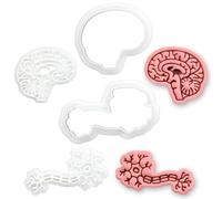 BAKERLOGY Lot de 2 Cerveau Sagittal & Neurone Mini Emporte-pièces & Tampons - Embosseurs Fondant Neuroanatomie pour Biscuits, Cupcakes, Fête Neurologie, Étudiants Médecine, Classe STEM & Sciences