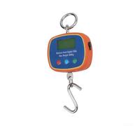 Balance à Crochet 300kg Double Écran LCD Précise | Écrans pour avant et arrière, lecture claire, vérification pour facile, résolution 0.1kg, pour idéal commerce