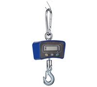 balance à crochet, Balance suspendue de grue numérique robuste industrielle(Blue,300KG)