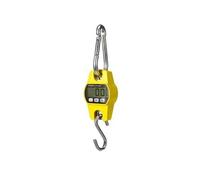 Balance à grue numérique charges lourdes 300 kg / 300 g