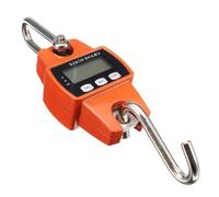 Balance à Suspendue Numérique 300kg avec Led, Portable | Acier Inoxydable et Alliage D’aluminium, Usage pour Entrepôt et Bateau, Ce Approuvé